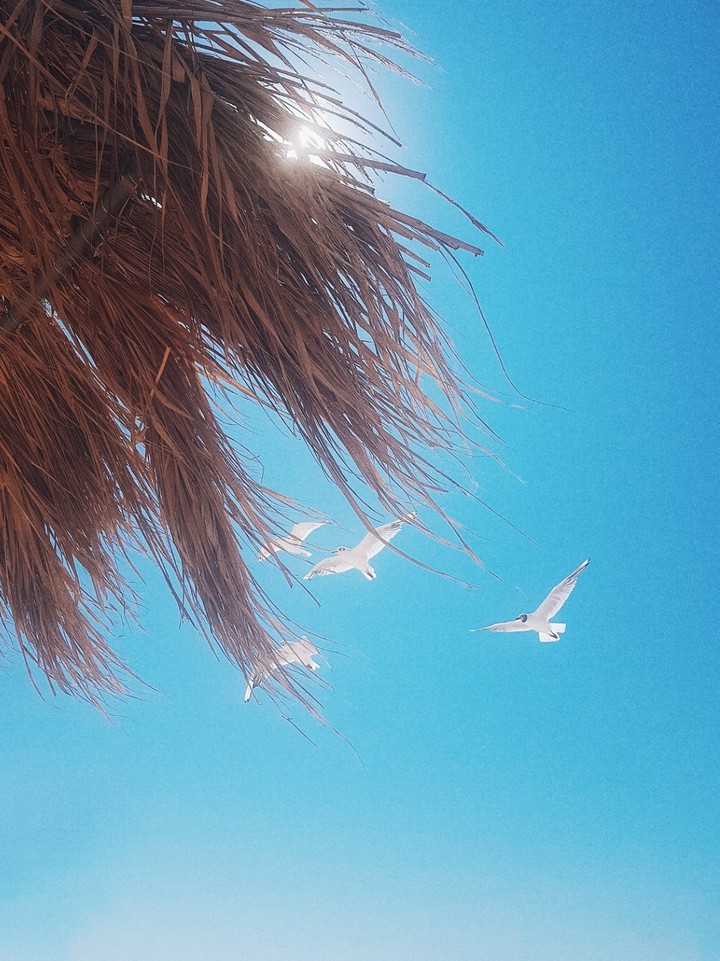 summer