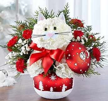Bouquet and a Cat