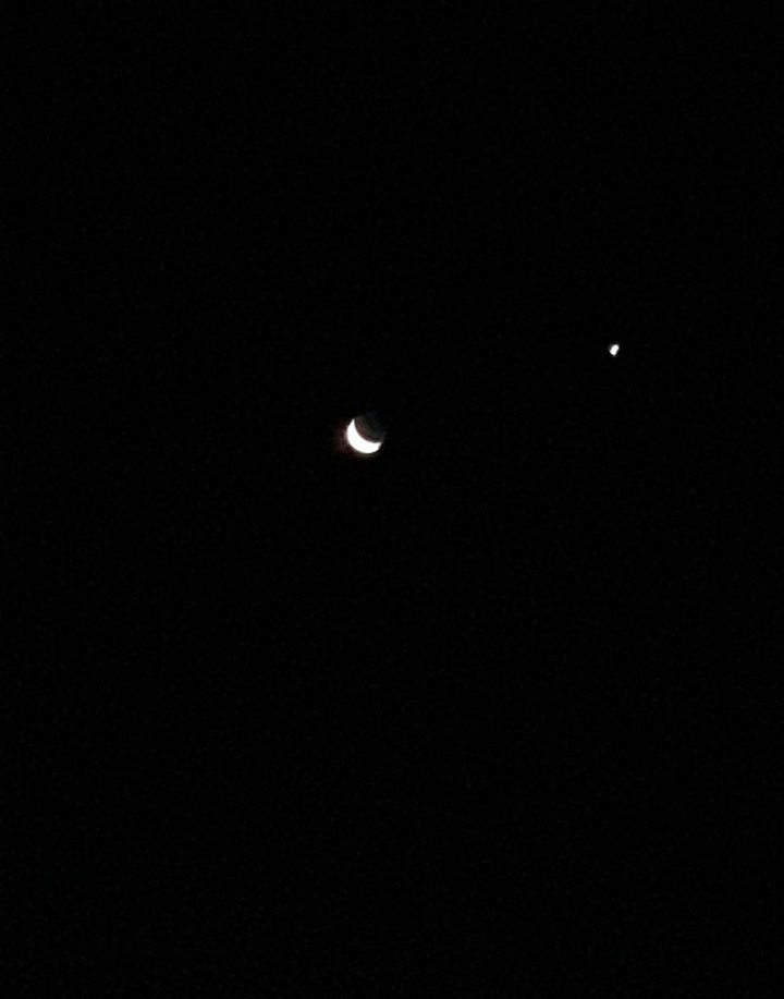 moon light