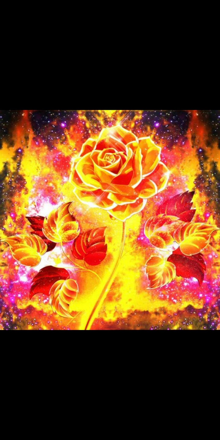 Fire Rose