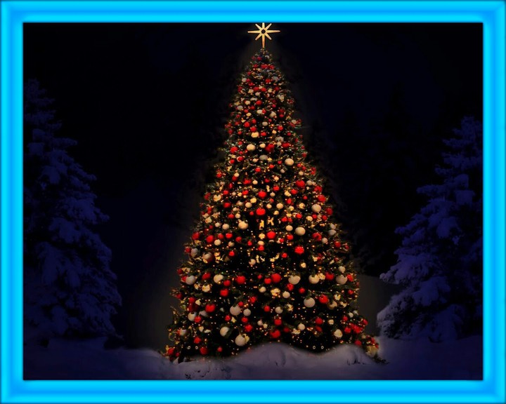 Beautiful Lit Up Tree