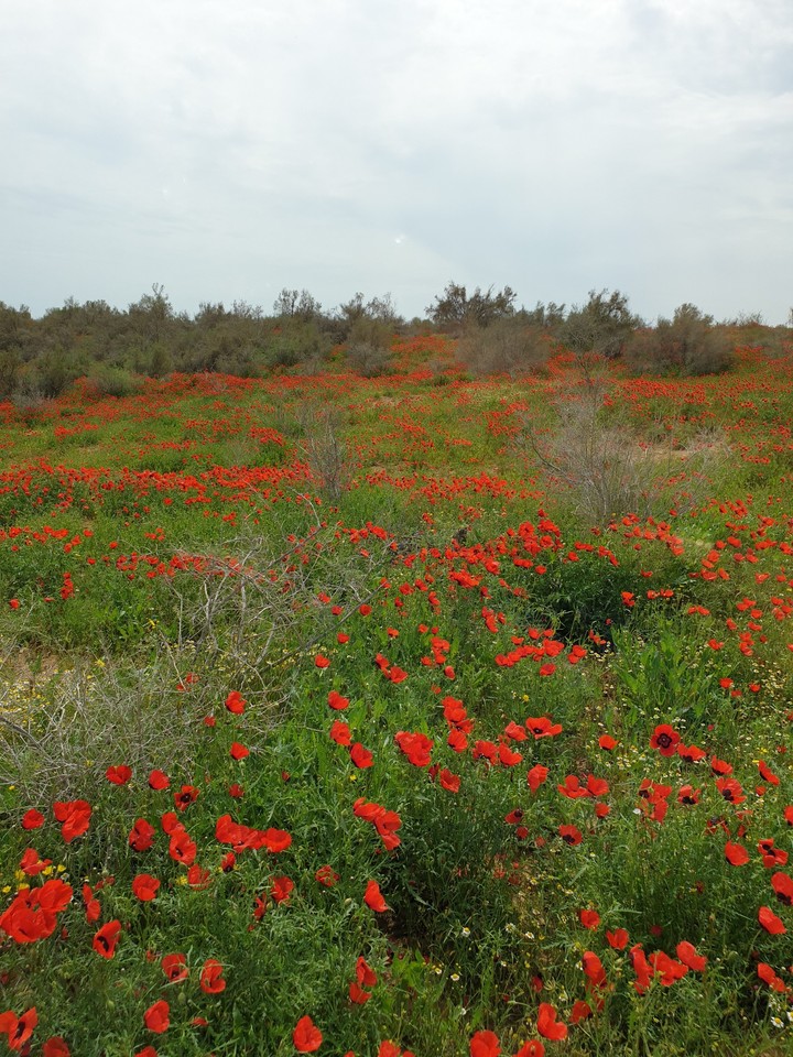 Mary, Turkmenistan