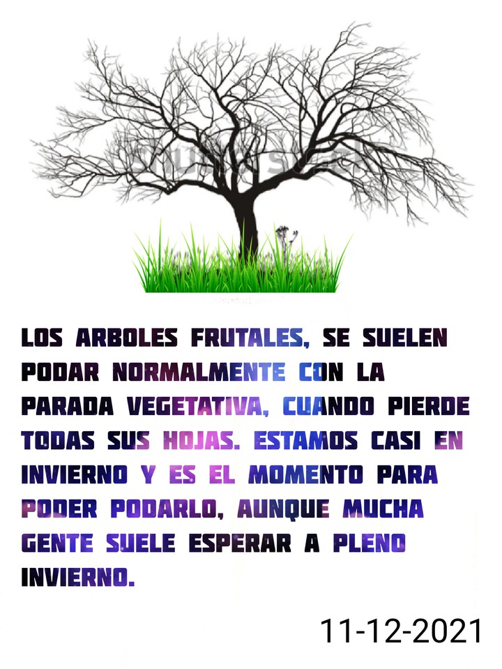 Que Hacer...