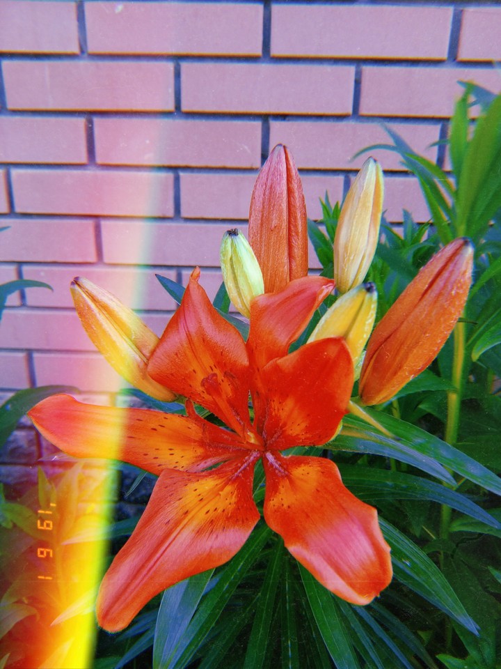 ^_^