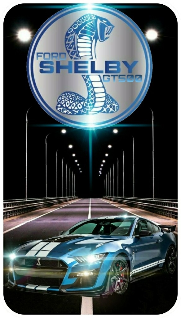 2020 Ford® Shelby Mustang ™ GT500
