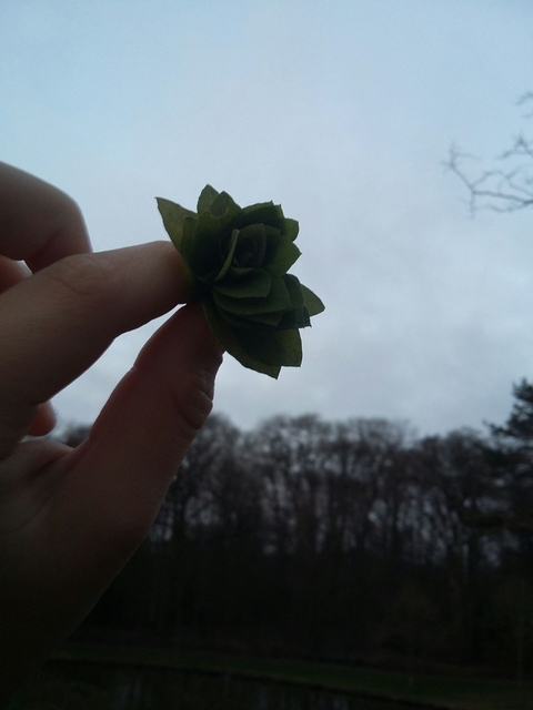 Blatt Blume