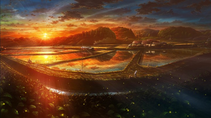 sunset