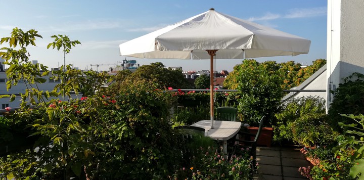 terrace_2020