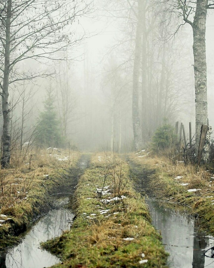 fog