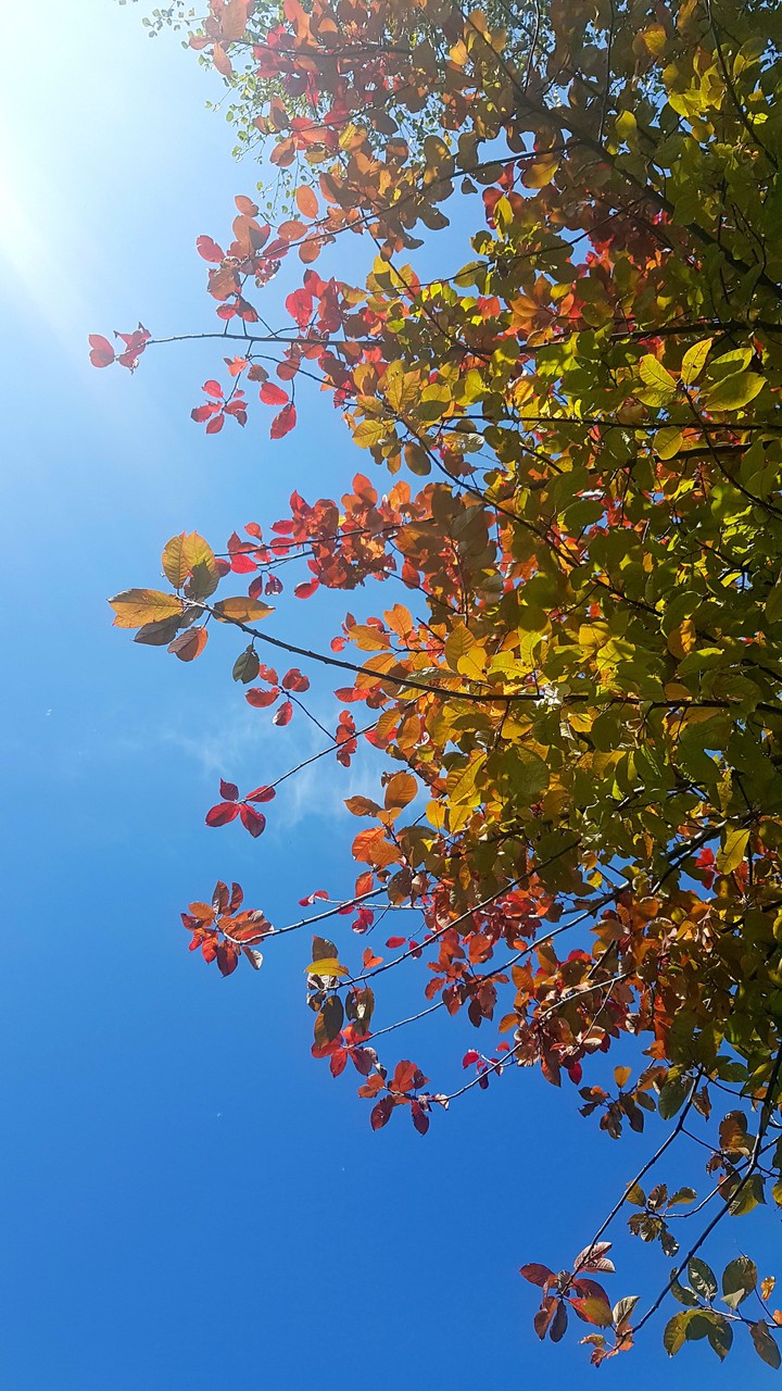 Autumn