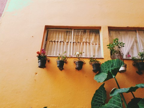 window