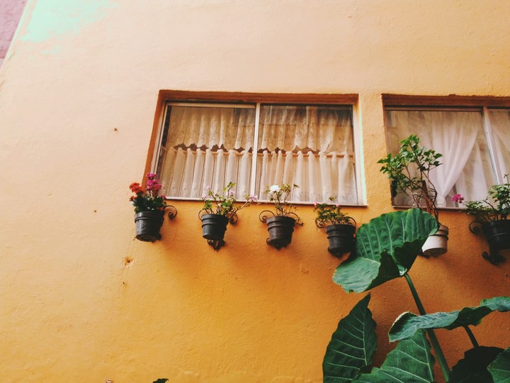 window