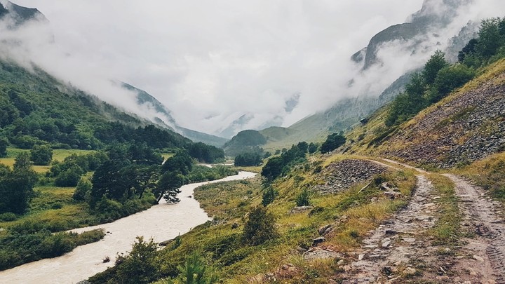 Nature