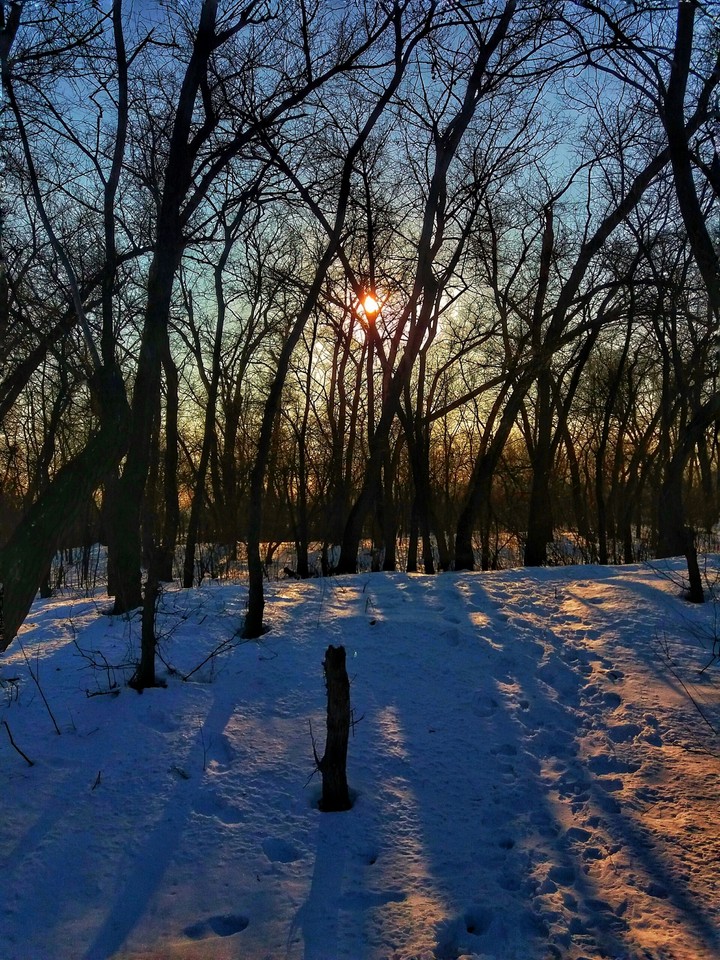...  instagram bardinvladi_mir