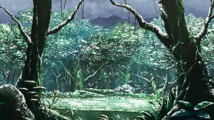Forest