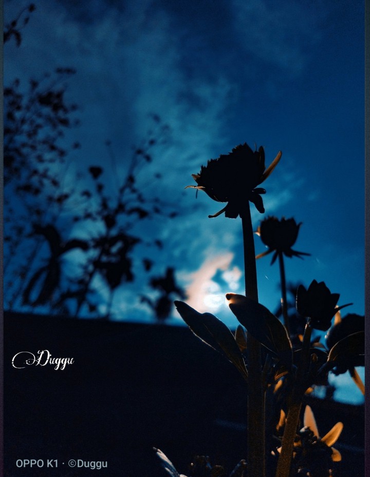 background black