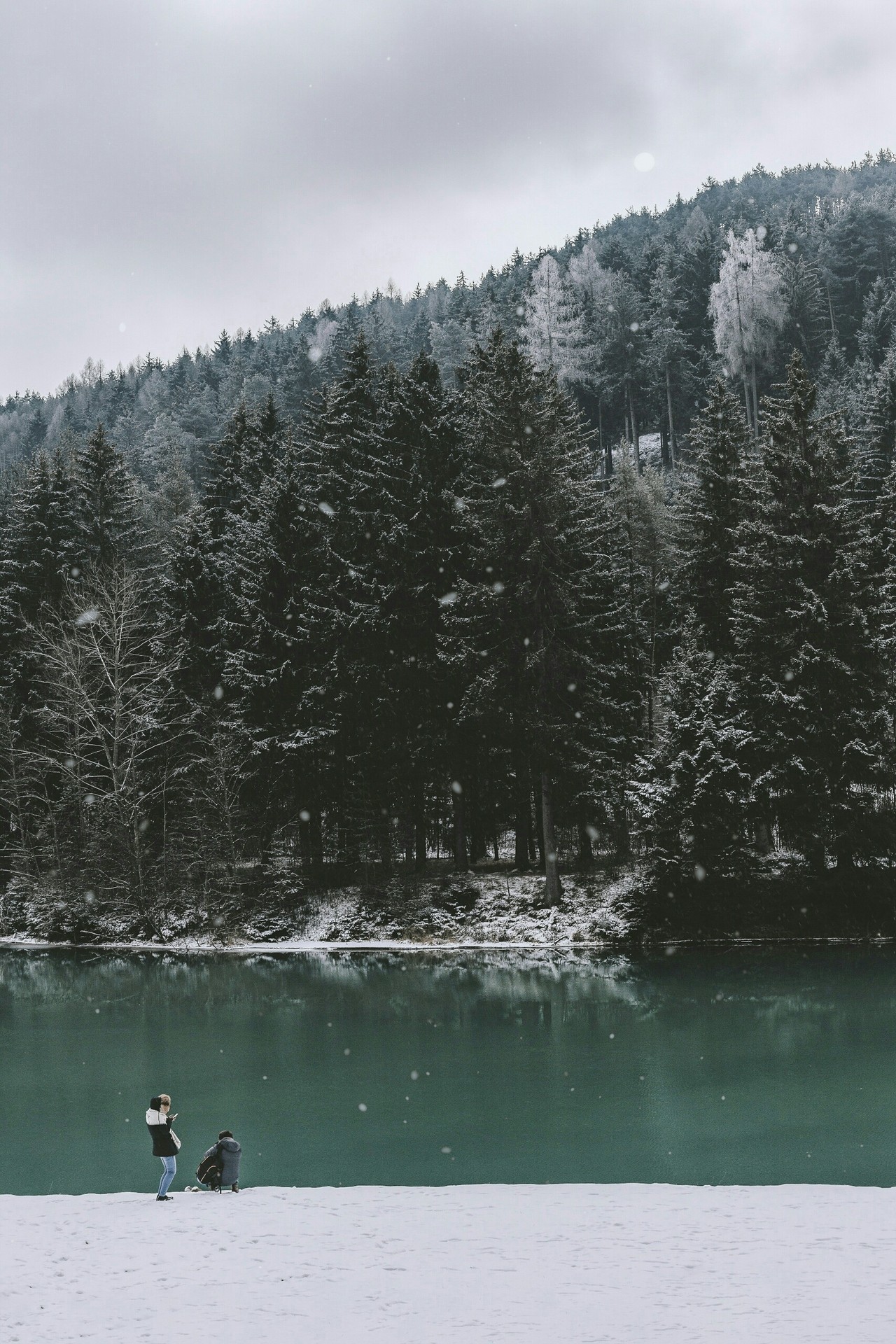 freezing, lake वॉलपेपर