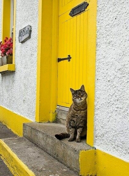 esperando na porta
