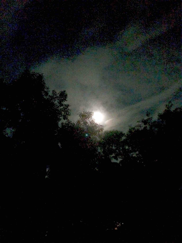 #moonshine