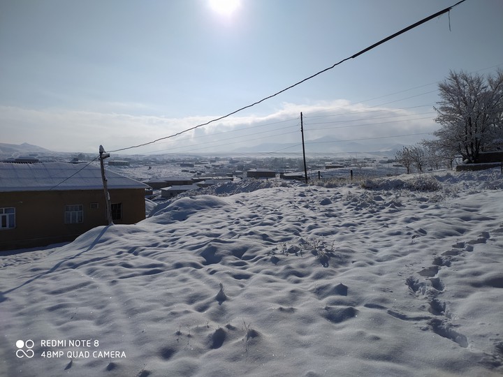 freeze/village
