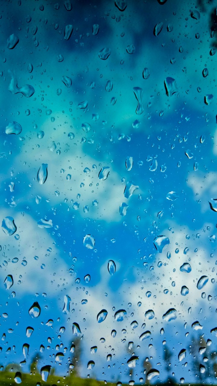 Shower Drops