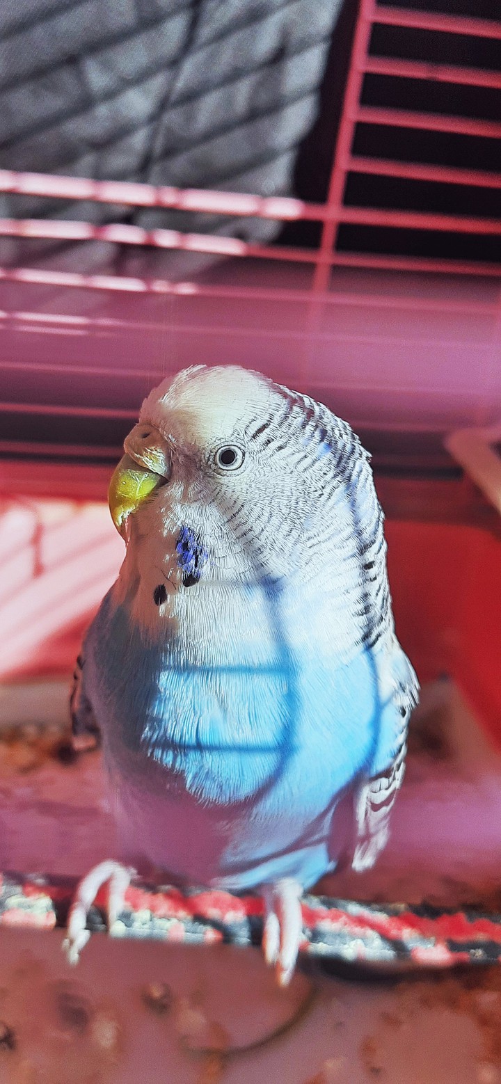 ♡♡♡
