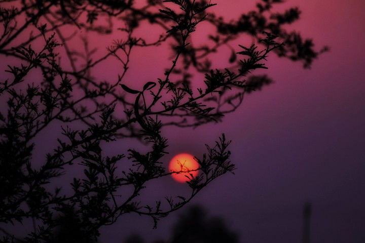 sunset