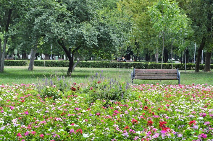 The park in summer.