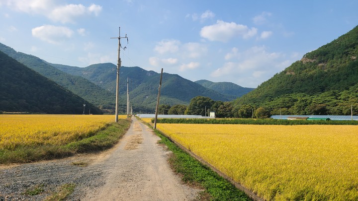 가을풍경