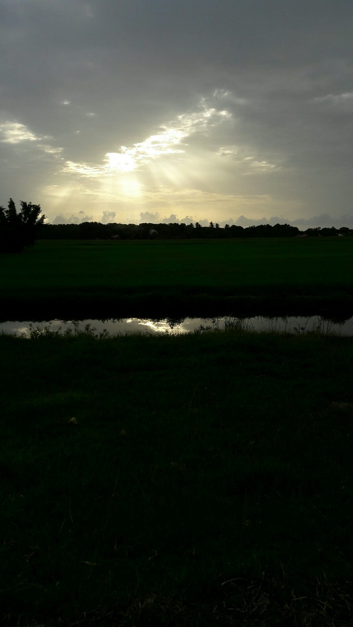 sunset