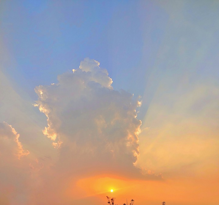 Sun Calling