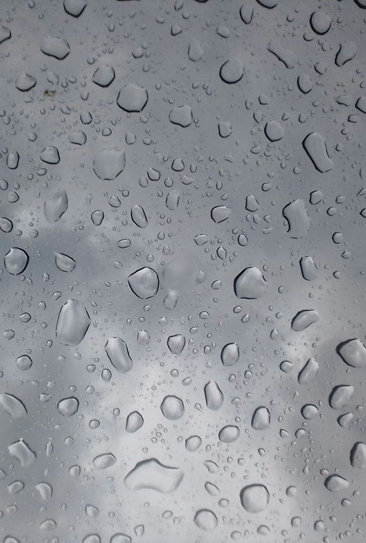 Rain