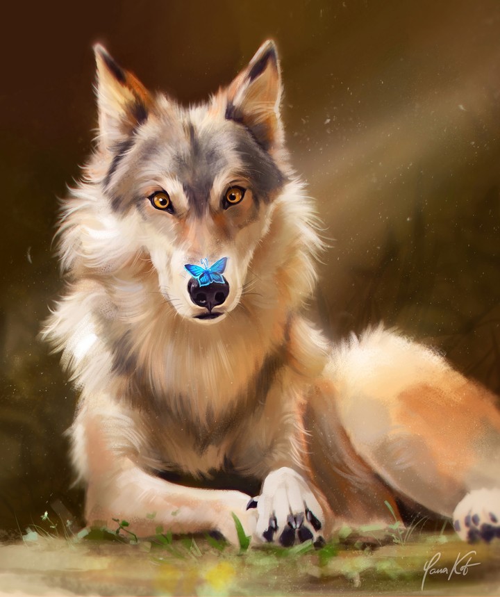 wolf