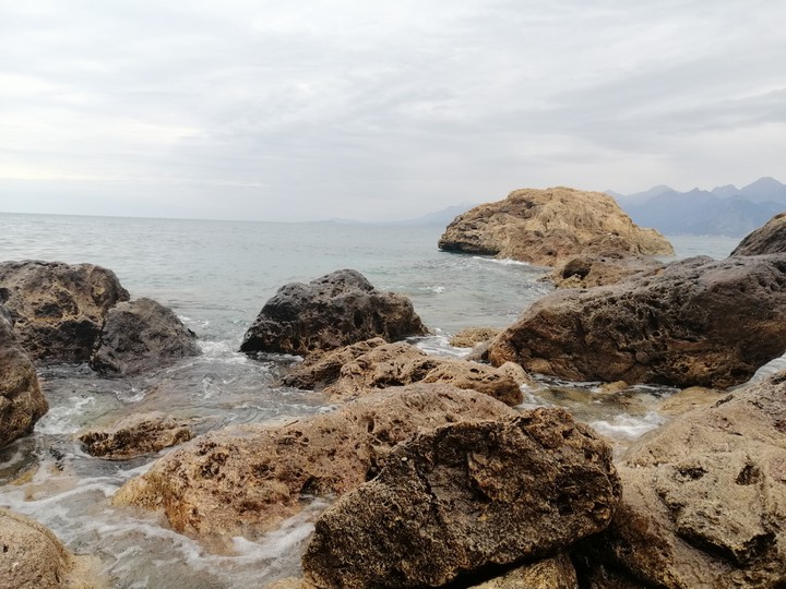 Sea