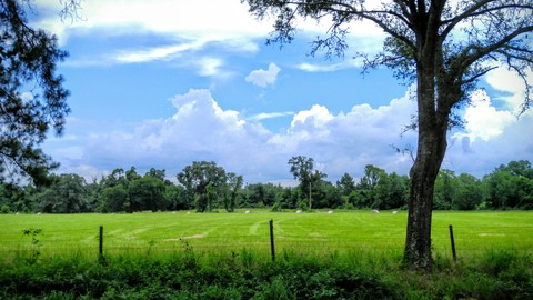 Nature