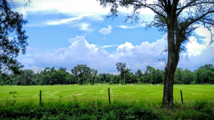 Nature