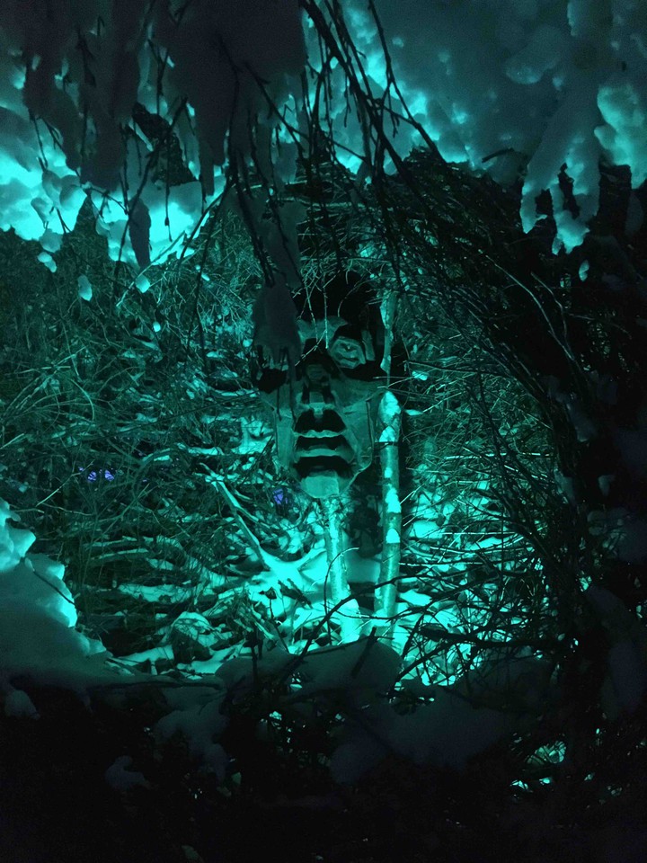 Face of forest