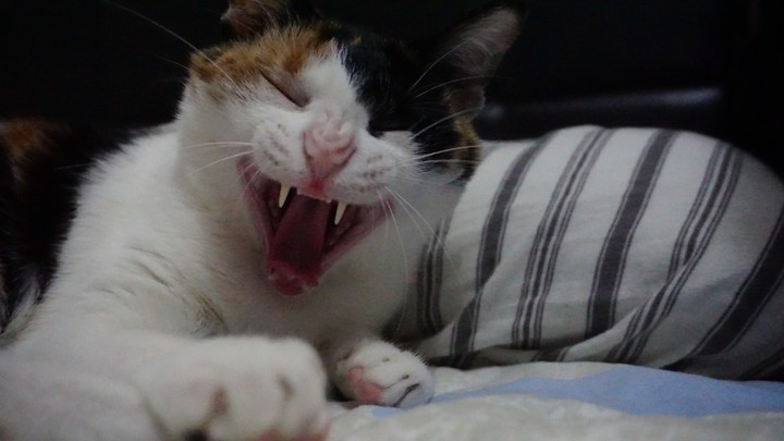 Monday