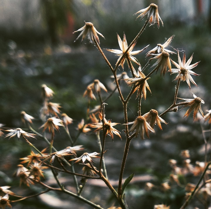 Beauty of Details.