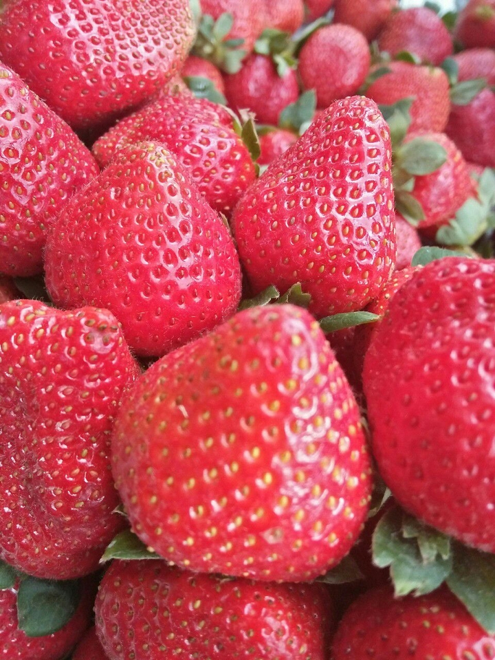 tasty direct from garden