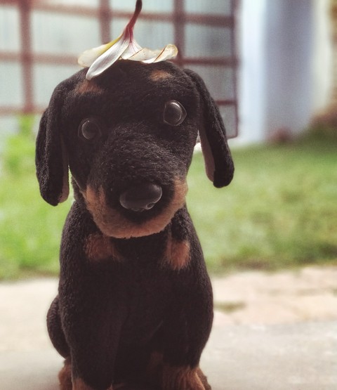 Artificial Dog
