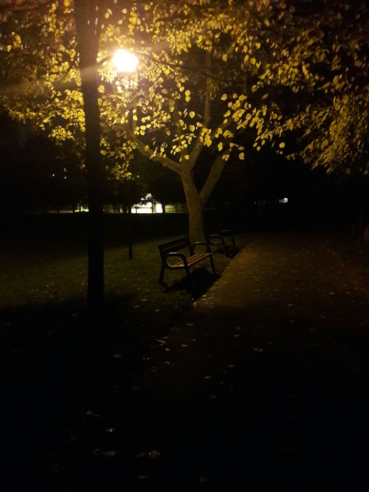 Gold tree