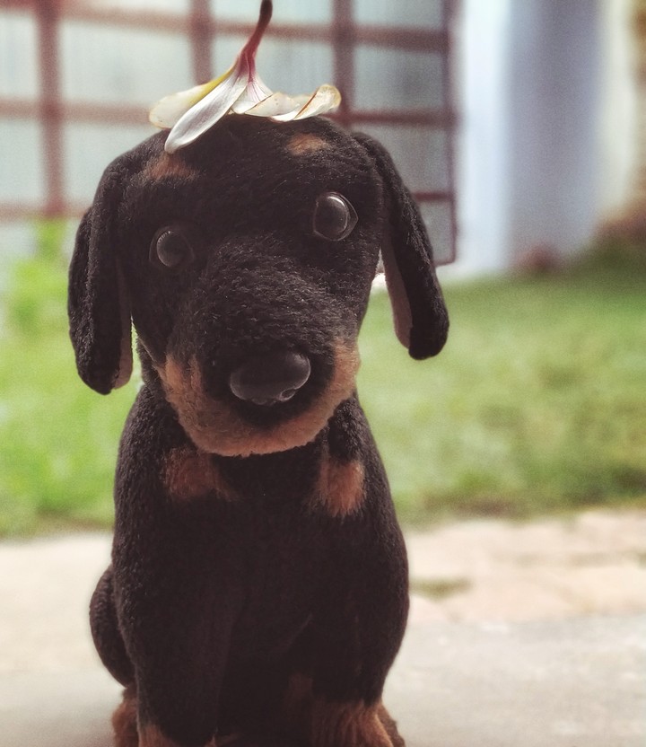 Artificial Dog