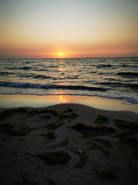 The Baltic Sea