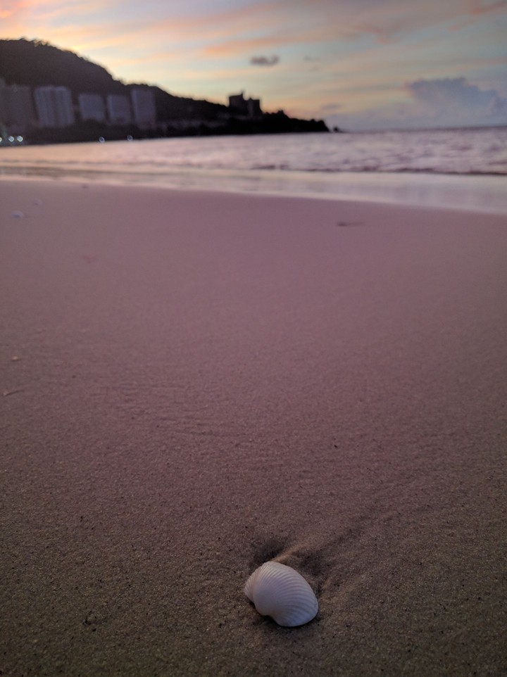 Shell