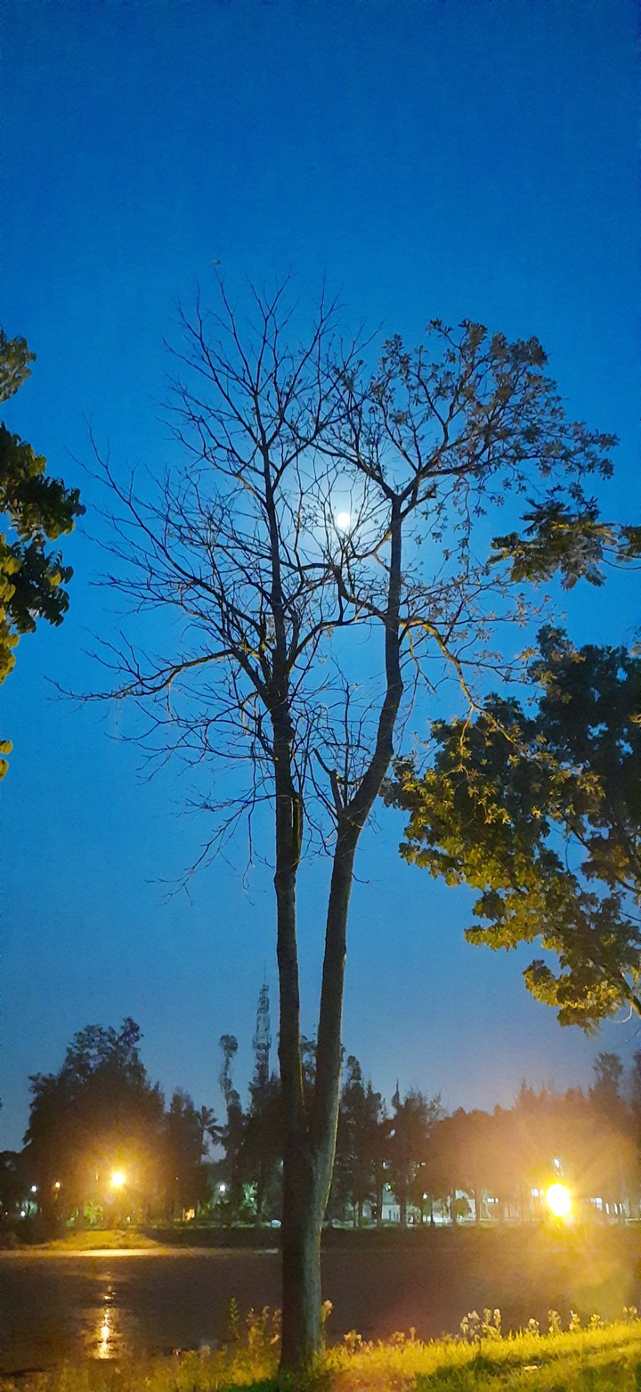 blue sky moon
