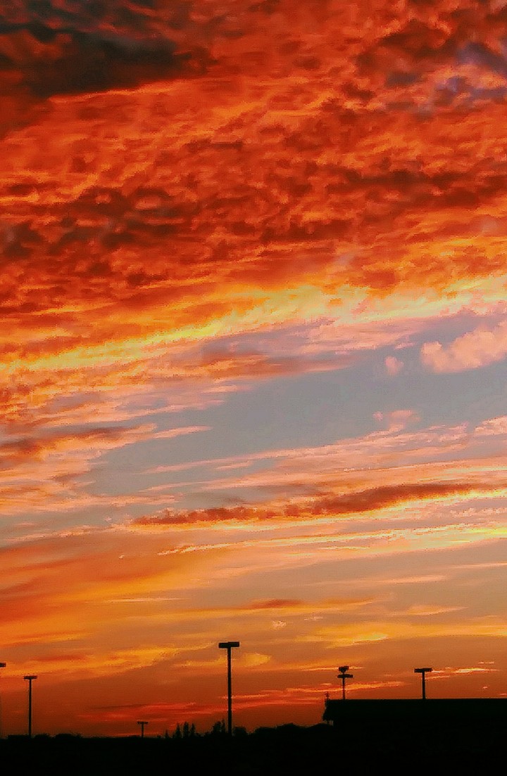 reminds me that nature is beautiful