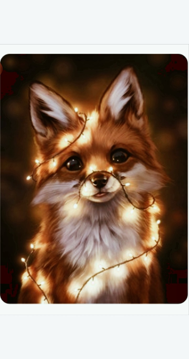 FOXY/ Fuchs