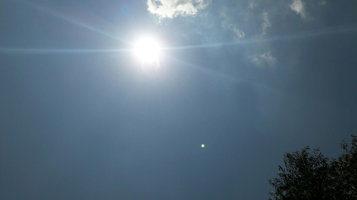 The sun