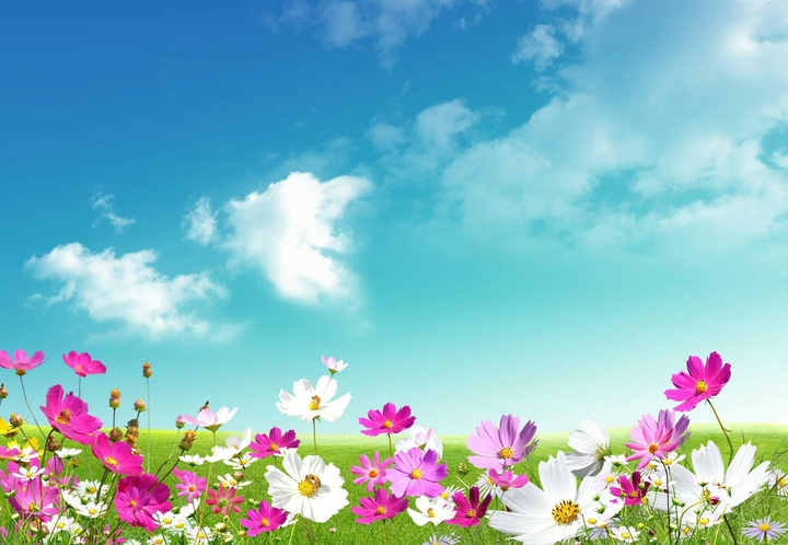 Spring with flowers